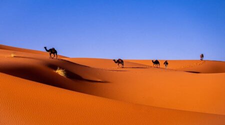 Пустыни Африки